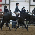 HOTT DAM - Out of Moxies Legacy